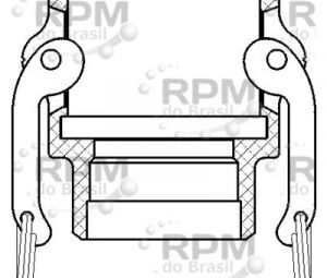 DIXON VALVE & COUPLING COMPANY, LLC 200DWBPSTSS