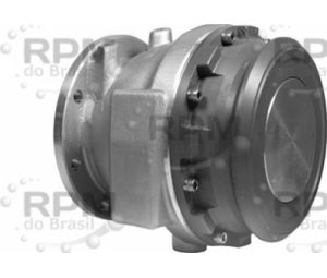 DIXON VALVE & COUPLING COMPANY, LLC 5204NG