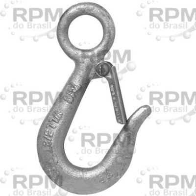CAMPBELL CHAIN 4530734