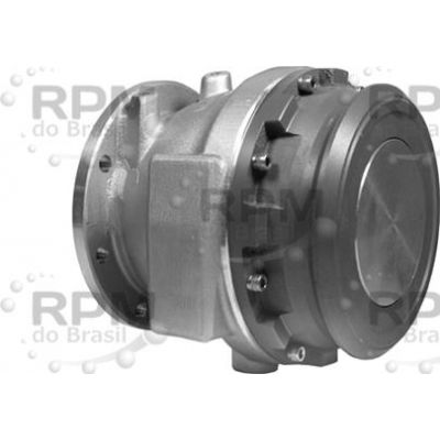 DIXON VALVE & COUPLING COMPANY, LLC 5204NG