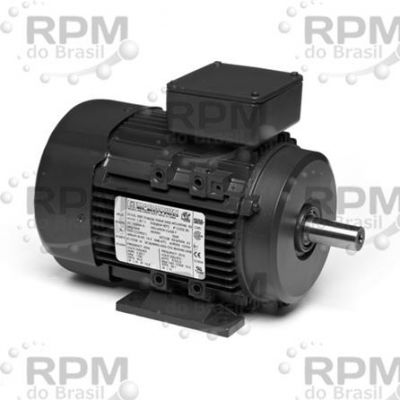 MARATHON ELECTRIC R419A